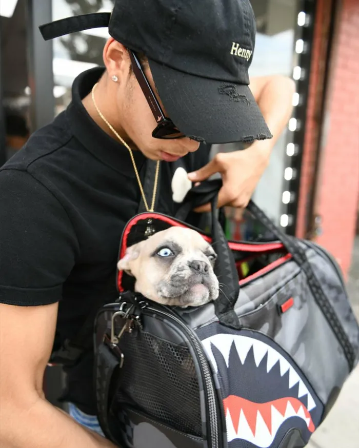 3AM PET CARRIER Bags SPRAYGROUND