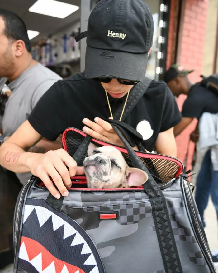 3AM PET CARRIER Bags SPRAYGROUND