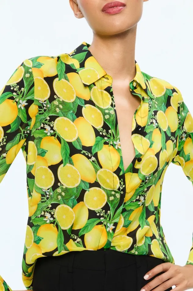 Alice Olivia Willa Placket Top Lemon Tree Women Tops
