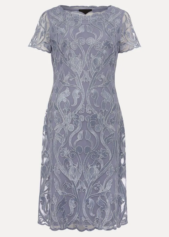 Bea Embroidered Dress Arctic Blue Women Phase Eight Dresses