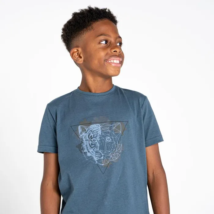 Dare 2b Go Beyond Graphic Tee Orion Grey Kids