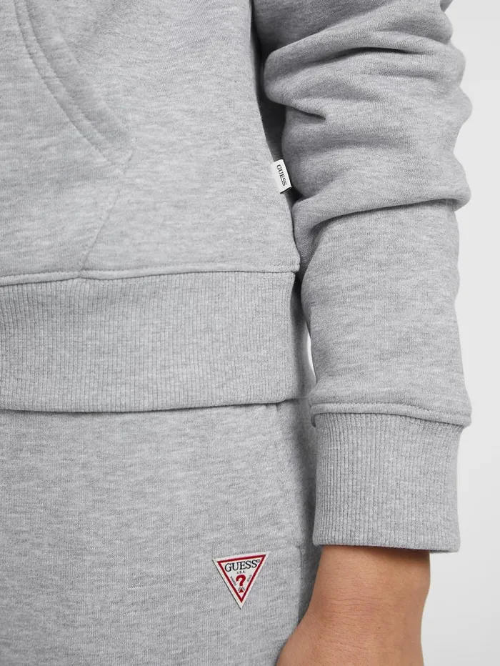 GUESS Hoodies and Sweaters Mini Patch Hoodie Red 8211 Women
