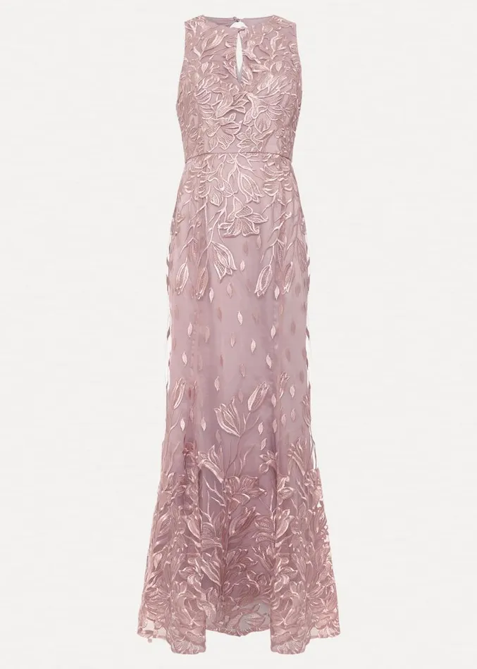 Jaclyn Embroidered Maxi Dress Pale Pink Women Phase Eight Dresses