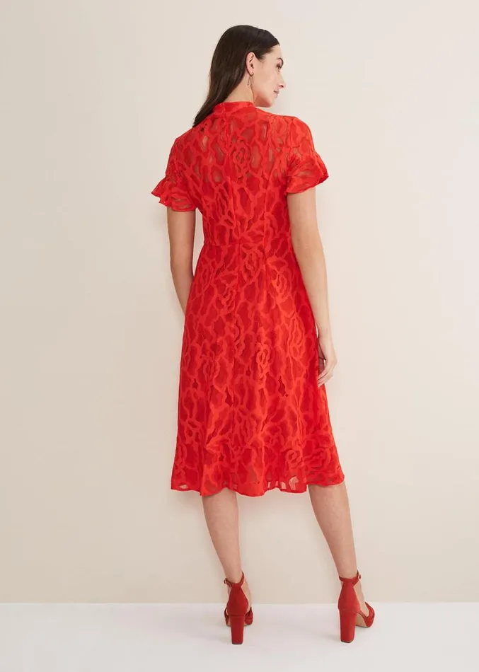 Lulu Lace Midi Dress Fire Women Phase Eight Dresses
