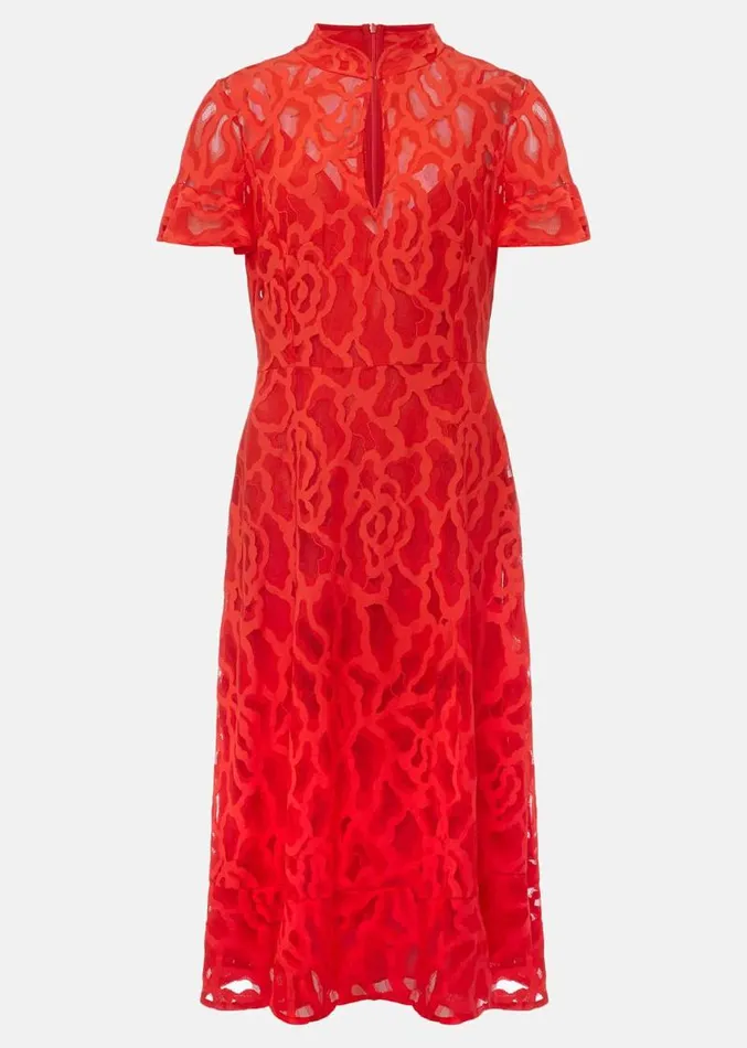 Lulu Lace Midi Dress Fire Women Phase Eight Dresses