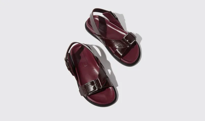 Scarosso Sandals Women Hailey Burgundy Croco Burgundy 8211 Crocoprinted