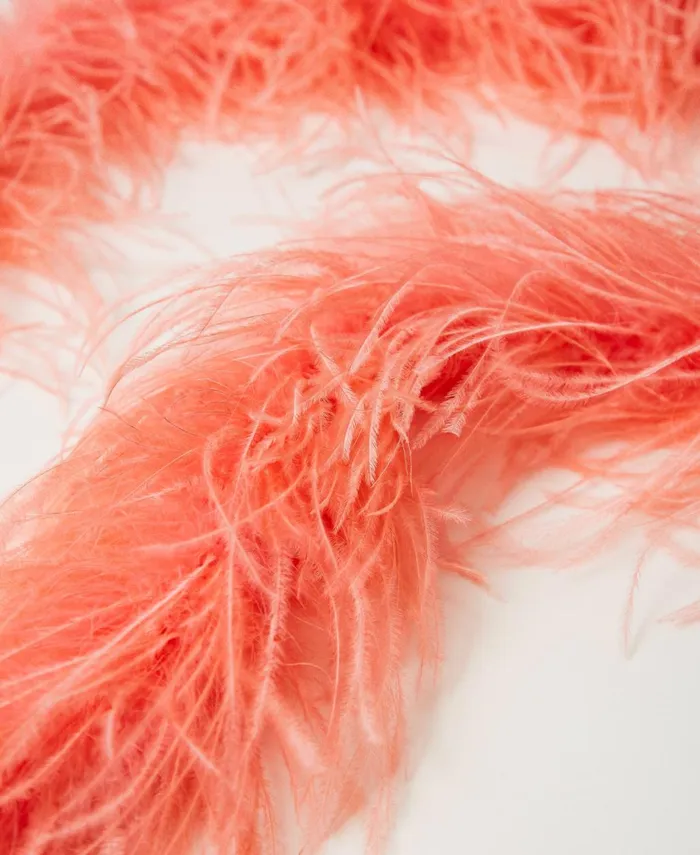 Twinset Myfo Stole With Feathers Fluorescent Coral Women Scarves Twinset Myfo Stole With Feathers Fluorescent Coral Women Scarves