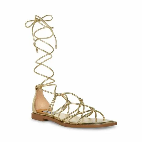 Women AINSLEY GOLD Gold Steve Madden Sandals Women AINSLEY GOLD Gold Steve Madden Sandals