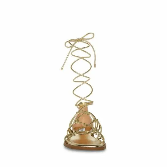 Women AINSLEY GOLD Gold Steve Madden Sandals Women AINSLEY GOLD Gold Steve Madden Sandals