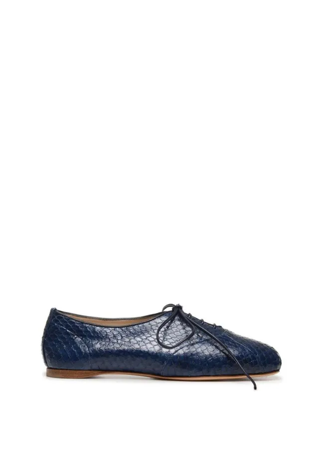 Women Flats Gabriela Hearst Maya Flat Shoe In Cobalt Snakeskin