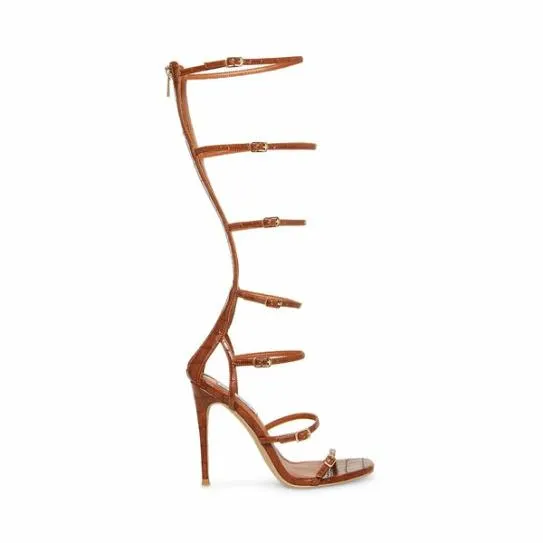 Women KATRINA BROWN CROCODILE Brown Crocodile Steve Madden Heels