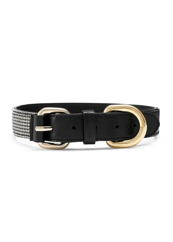 Women Puppy Tooth Dog Collar Creamblackbrown MEEM