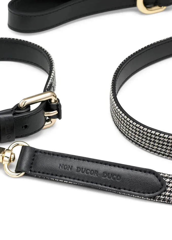 Women Puppy Tooth Dog Collar Creamblackbrown MEEM