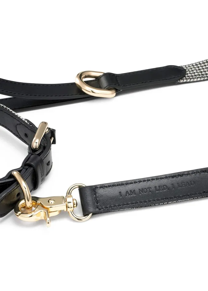 Women Puppy Tooth Dog Collar Creamblackbrown MEEM
